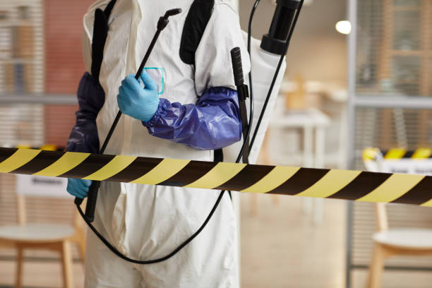 Professional Sewage Cleanup technician working in Crestline, CA